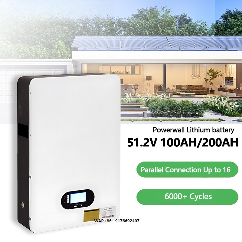 Lithium Battery 100Ah - リチウム48V 51.2V 100Ah 200AhディープサイクルLifepo4バッテリー壁掛け式カスタマイズ対応パワーウォール 家庭用蓄電池