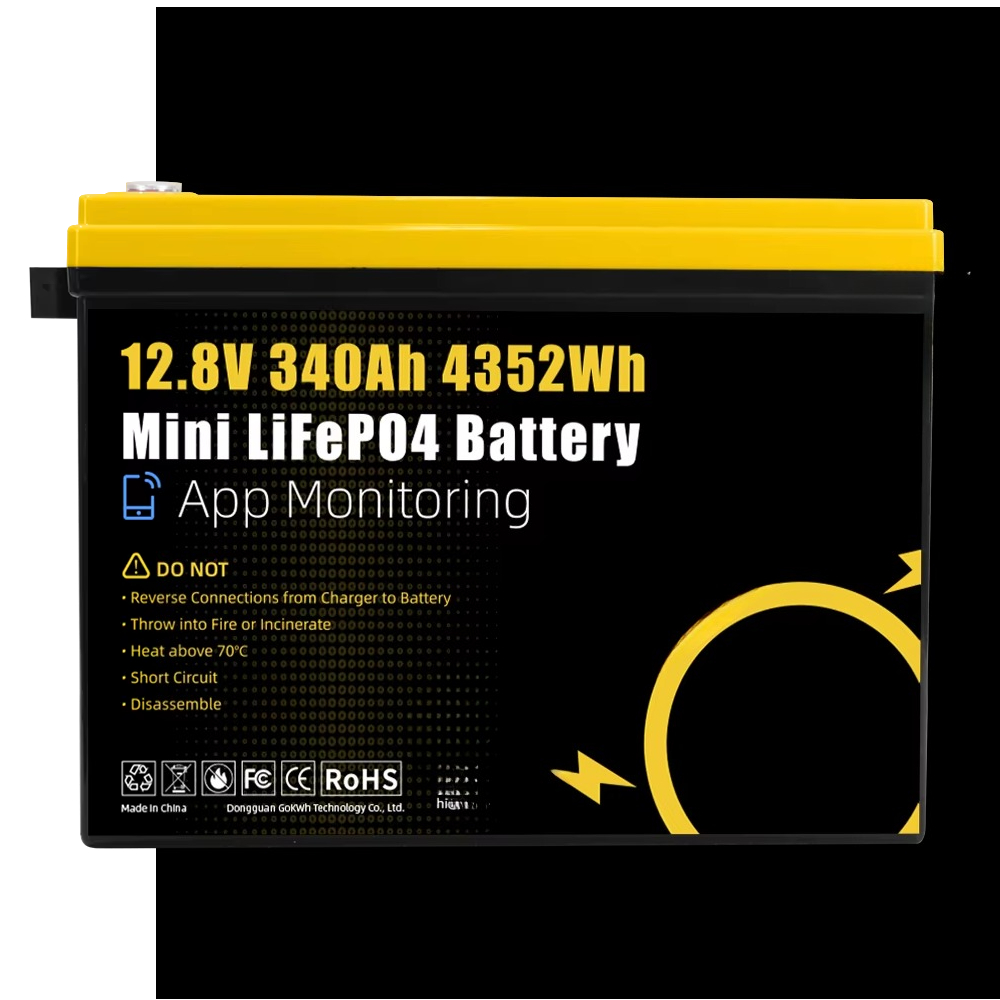 GoKWh マリン 12V LiFePO4 リチウムバッテリ - Lithium Battery 100Ah のレビューと価格