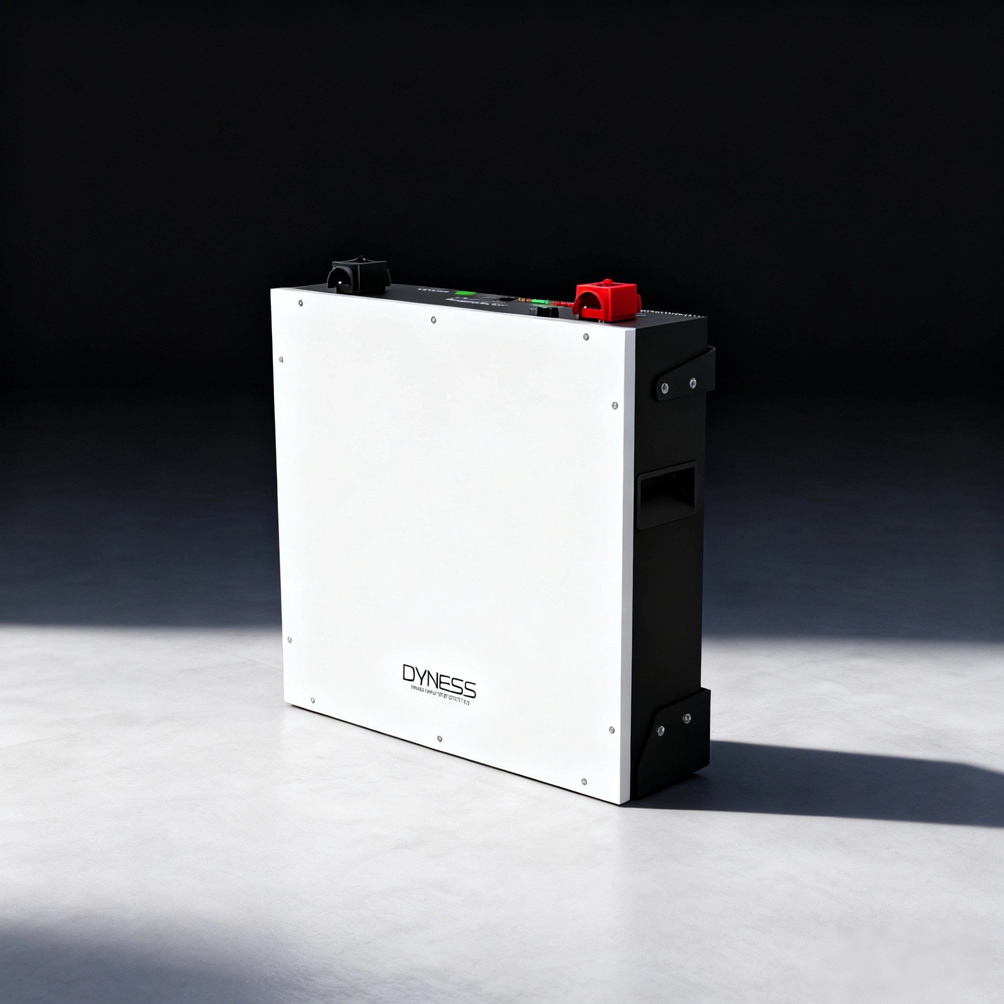 Dyness DL5.0C 1C リチウムイオン電池 51. - Lithium Battery 100Ah のレビューと価格