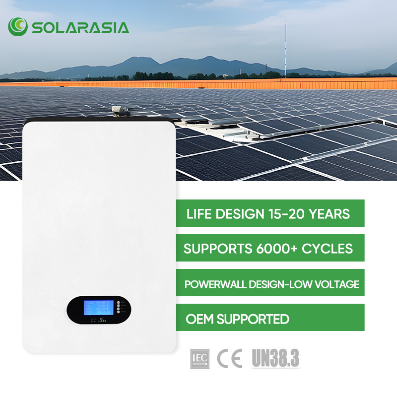 リチウム48V 51.2V 100Ah 200Ahディープサ - Lithium Battery 100Ah のレビューと価格