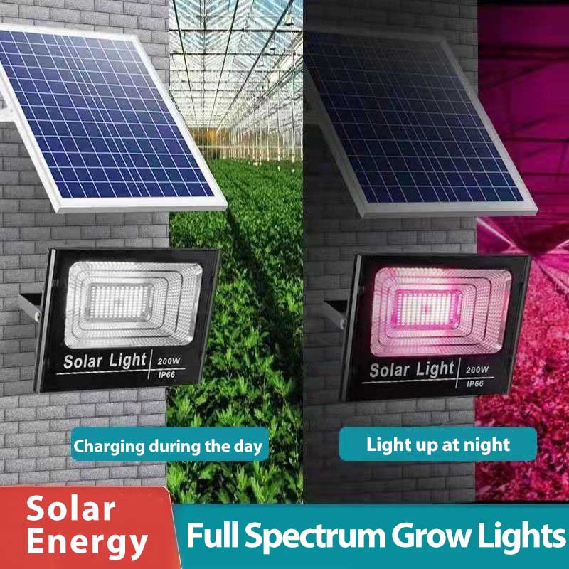 ソーラー式LED植物育成ライト、リモコン付き、調光可能、フル - Renewable Energy Project のレビューと価格