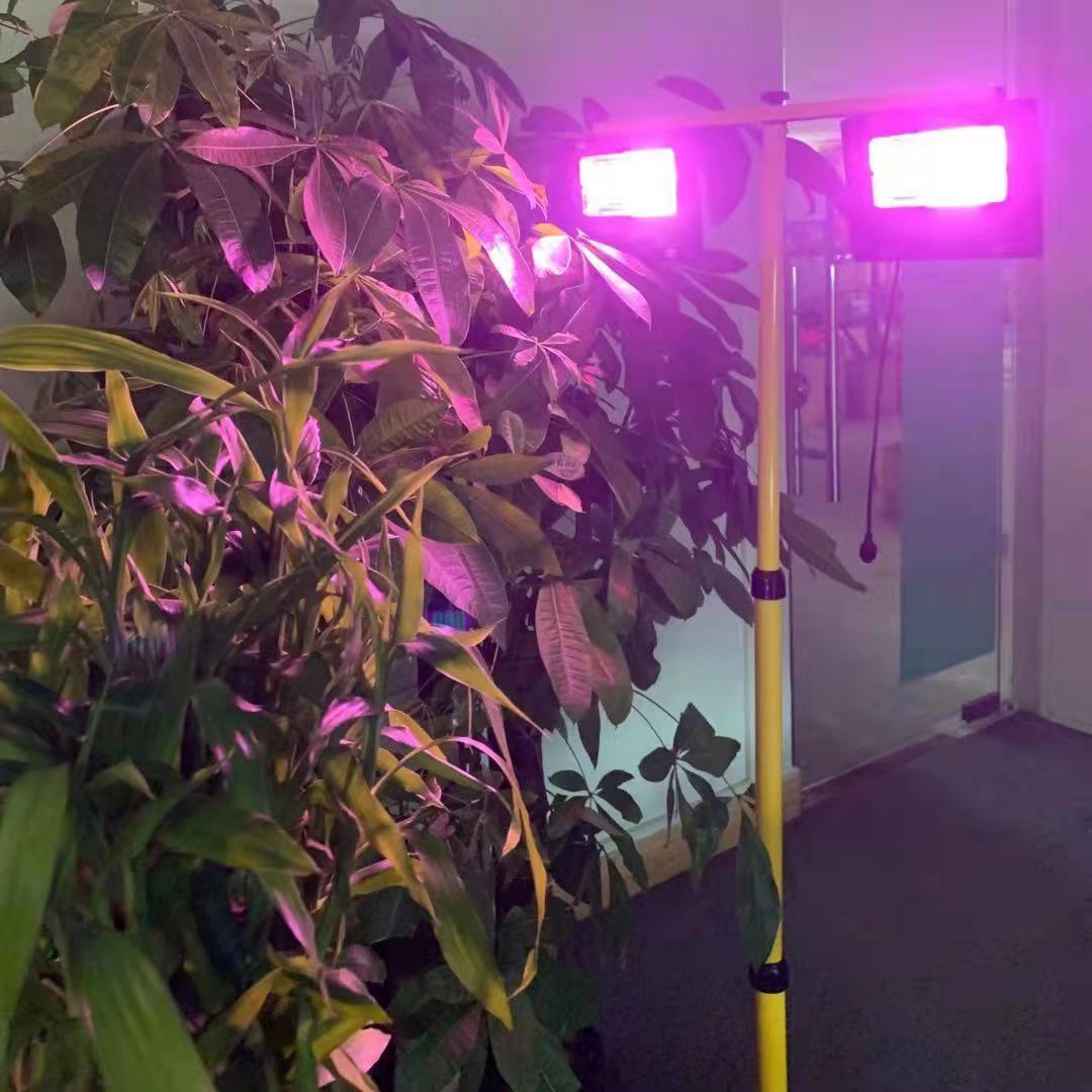 ソーラー式LED植物育成ライト、リモコン付き、調光可能、フル - Renewable Energy Project のレビューと価格