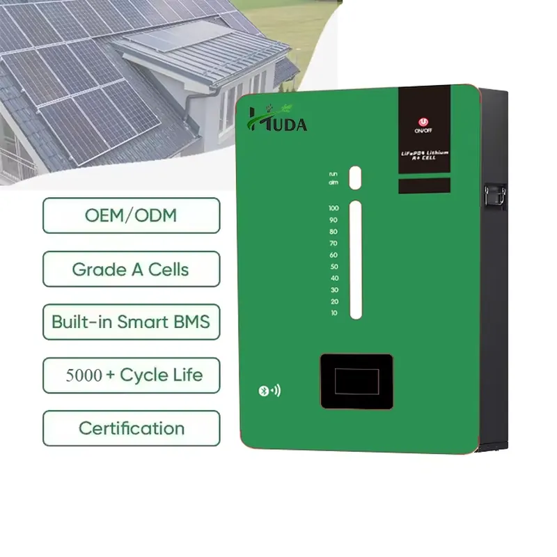 大容量5kWh LiFePO4リチウム電池 24V 25.6 - Lithium Battery 100Ah のレビューと価格