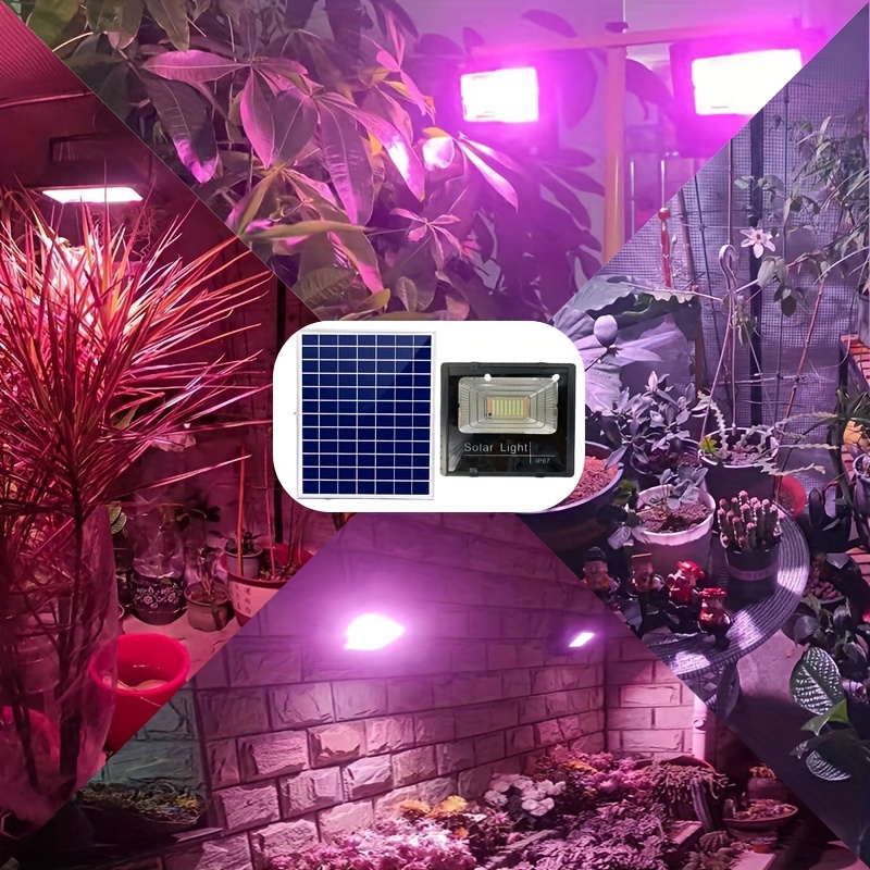 屋内および屋外の植物用のソーラーLEDグローライト,植物ラン - Renewable Energy Project のレビューと価格